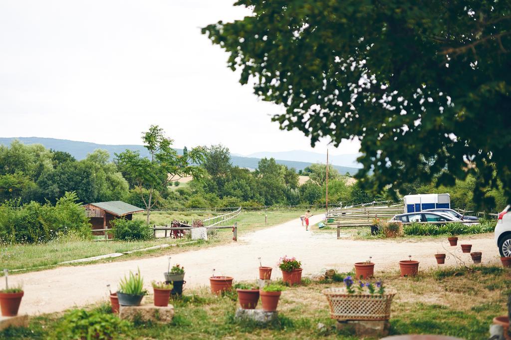 Bed and Breakfast La Fontaine Simiane-la-Rotonde Esterno foto